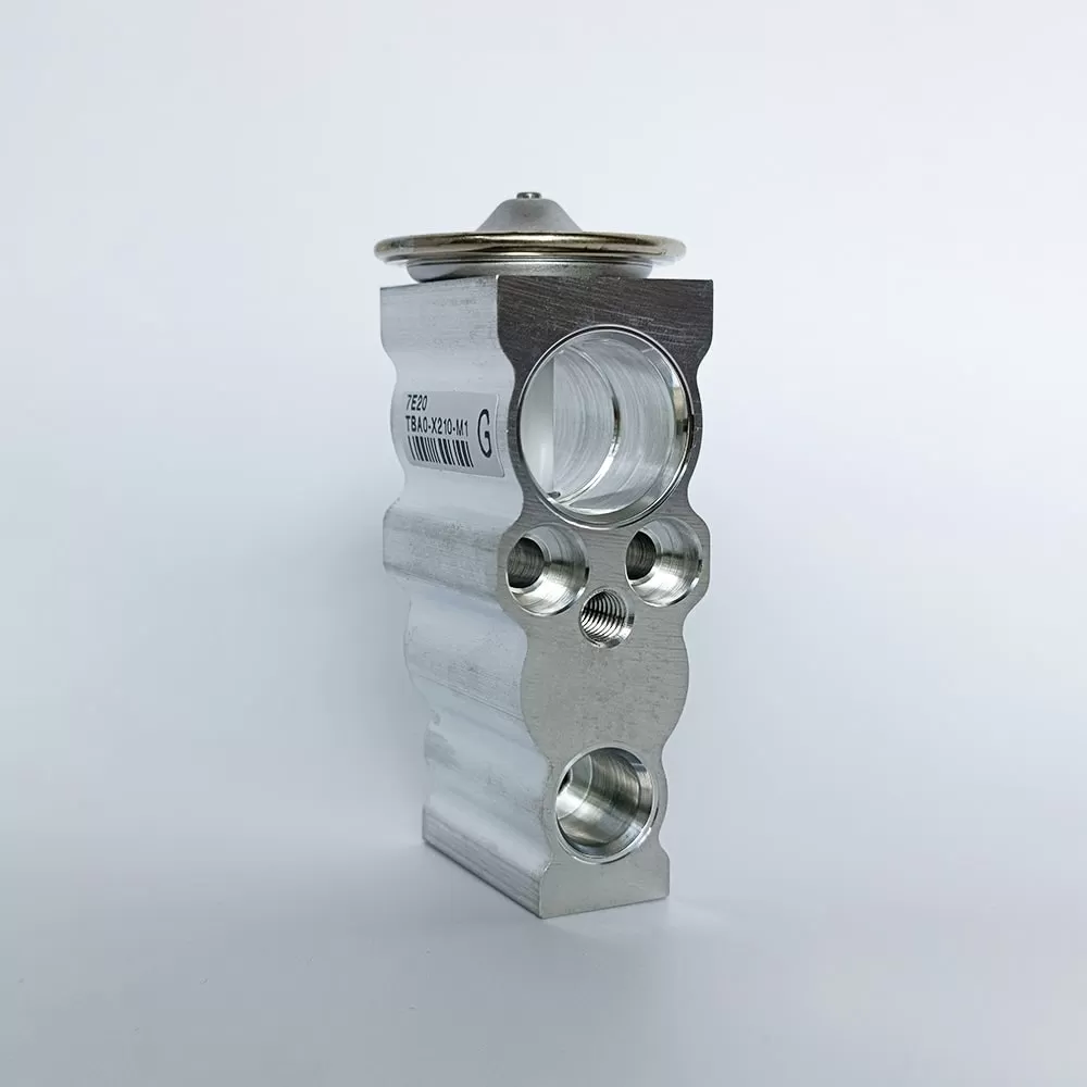 VPE-10QHGSZ-1 Van tiết lưu FUJIKOKI