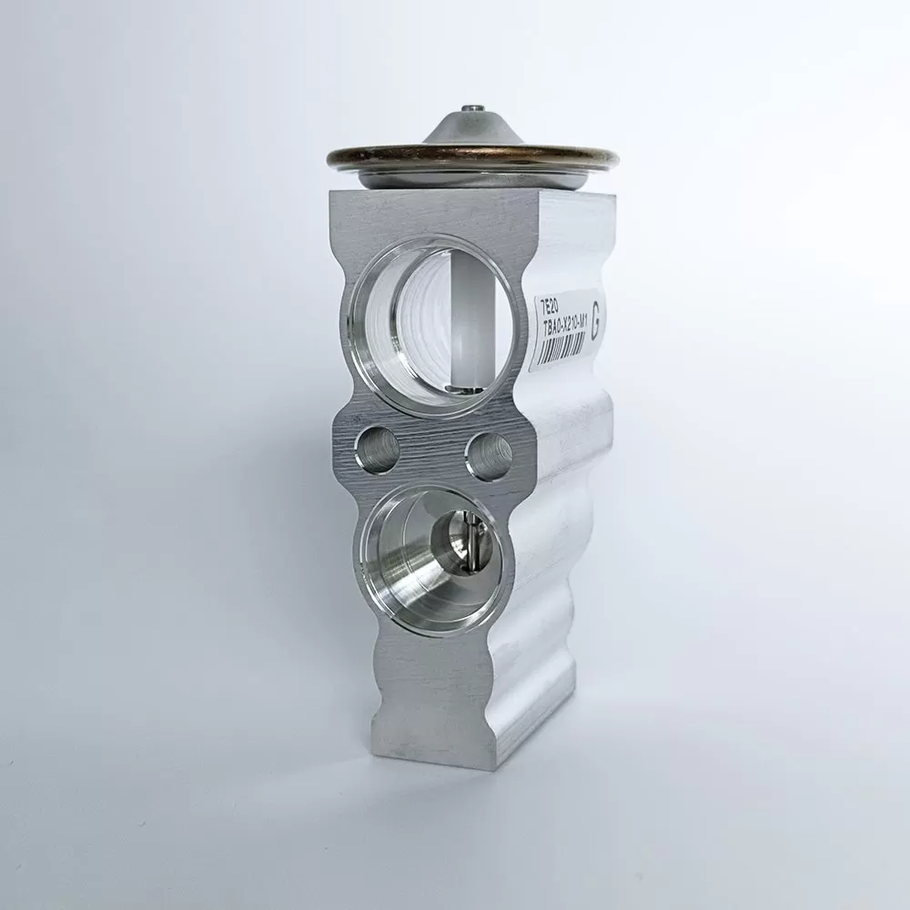 VPE-10QHGSZ-1 Van tiết lưu FUJIKOKI