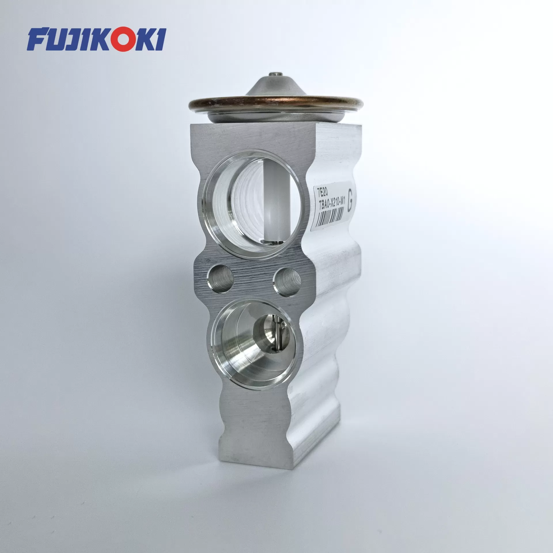 VPE-10QHGSZ-1 Van tiết lưu FUJIKOKI