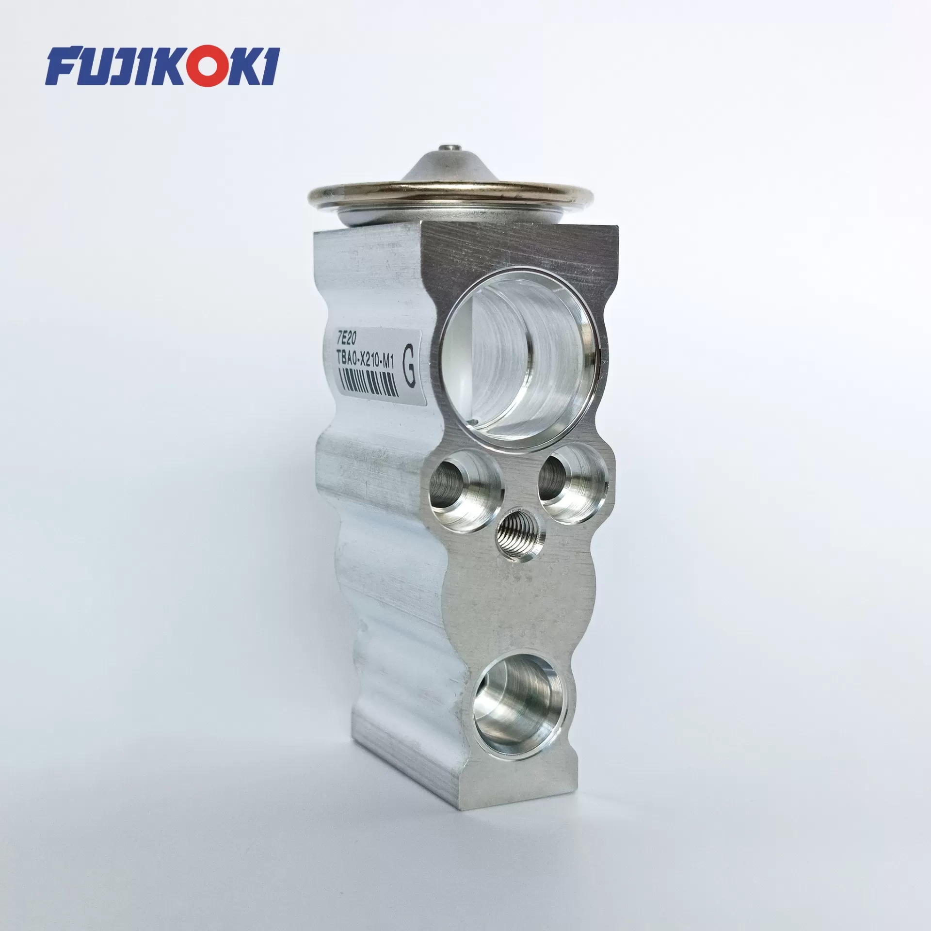 VPE-10QHGSZ-1 Van tiết lưu FUJIKOKI